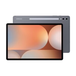 Samsung Galaxy Tab S10 Plus 256GB Moonstone Gray – (Grade B)